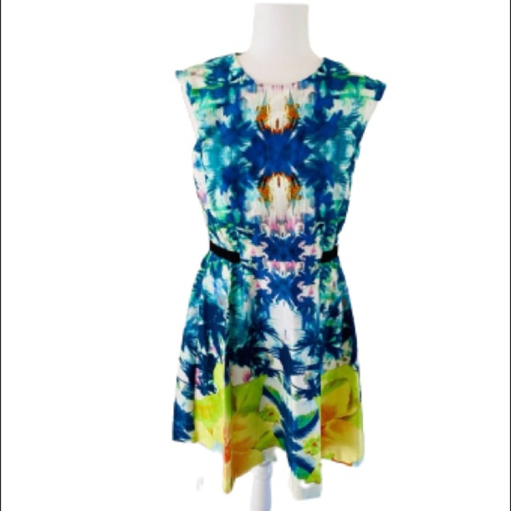 Gabby Skye watercolor dress size 10